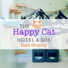 Happy Cat Hotel