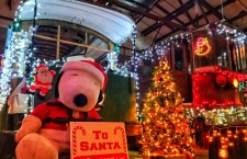 Winterfest & the Tunnel of Lights